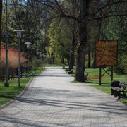 P5041526