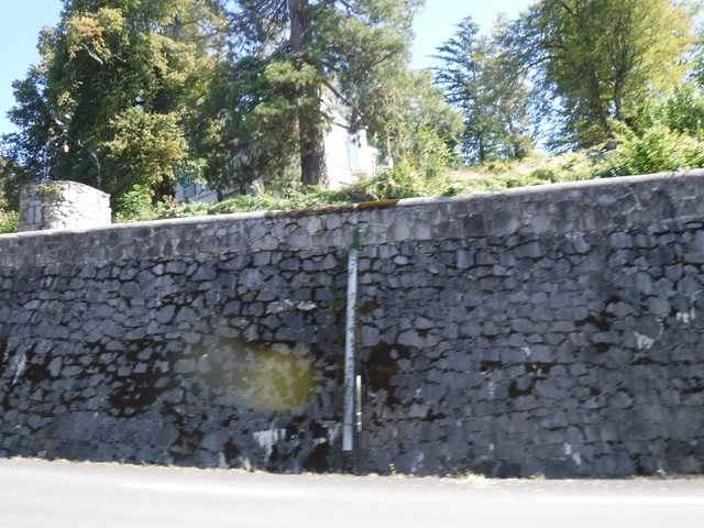 DSCF6193
