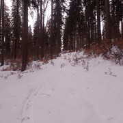 IMG-20230206-100202