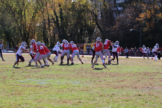 IMG-1176.jpg