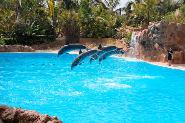 loro-parque