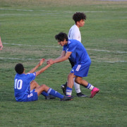 IMG-0050