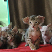IMG-3749