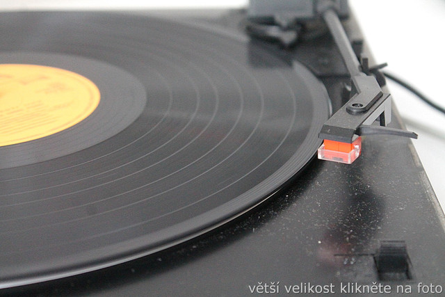 IMG-6434.jpg