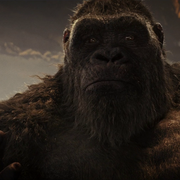 gvkbanner