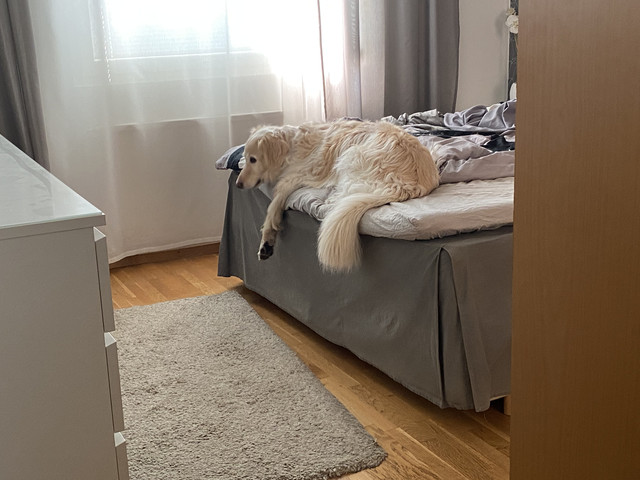 798-EFE1-D-7-B6-E-4049-B06-F-FAB5-CA4-AE