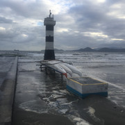IMG-3498