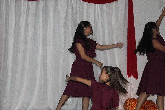 IMG-0301