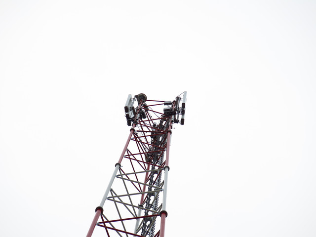 IMG-1316