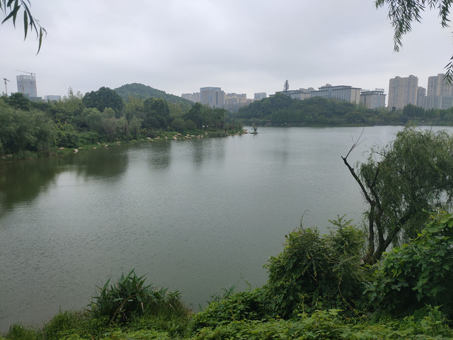 IMG20200713125627.jpg