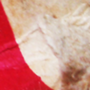 woolfred-t4-26