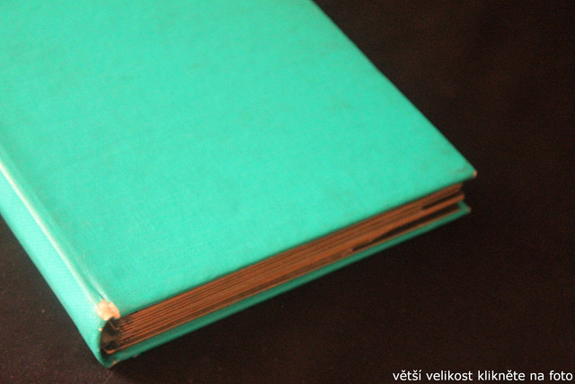 IMG-3716.jpg