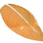 Leaf-Alder-Printable-Henry