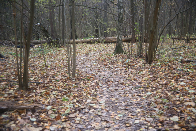 IMG-2114