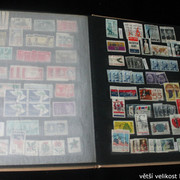 IMG-2545