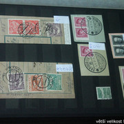 IMG-3292