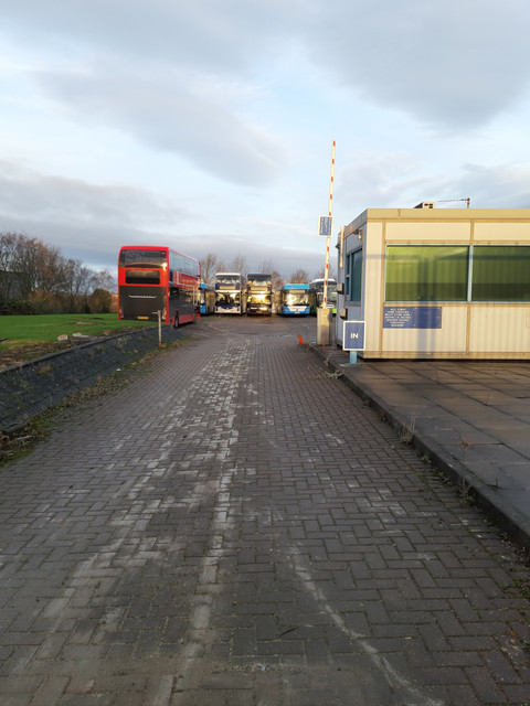 20241224-090434.jpg
