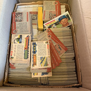 IMG-7781