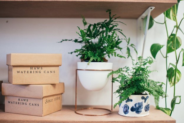 5 Tips for Efficient Eco-Friendly Living
