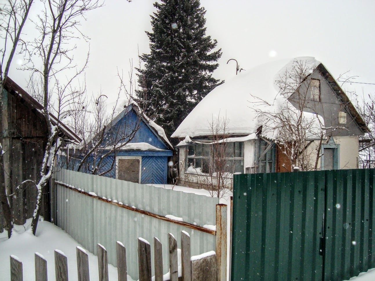DSC06207