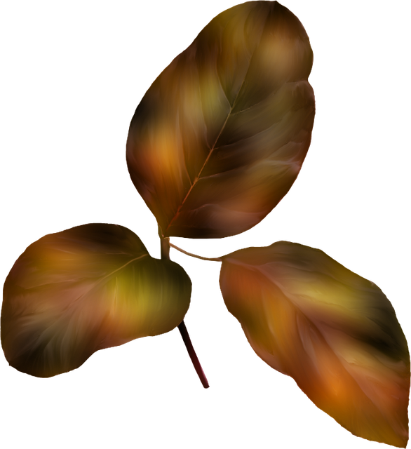 Autumn-Gold-2-126