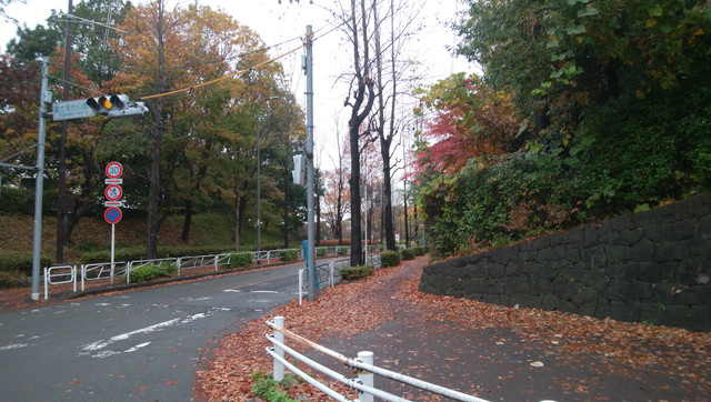 IMG-20221121-104413
