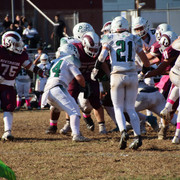 IMG-5516