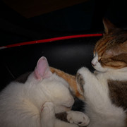 IMG-20220107-012924