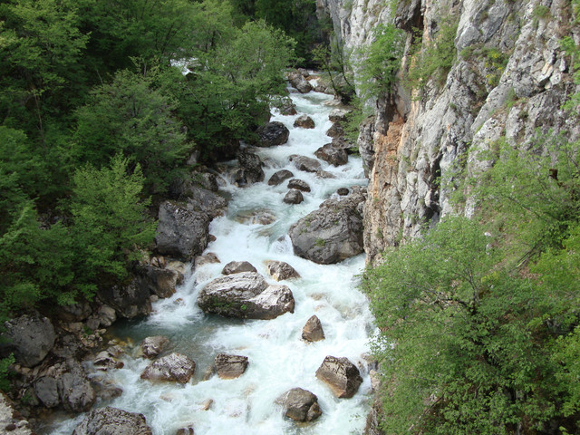 DSC04425