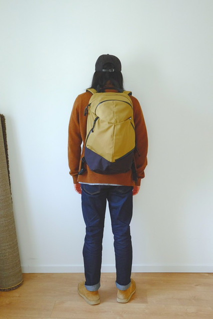 https://i.ibb.co/8d9K4WS/fit-back.jpg