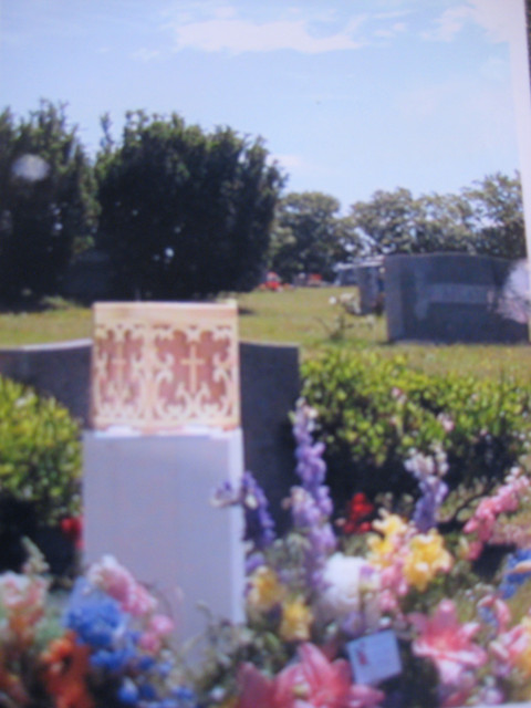 IMG-1129-1