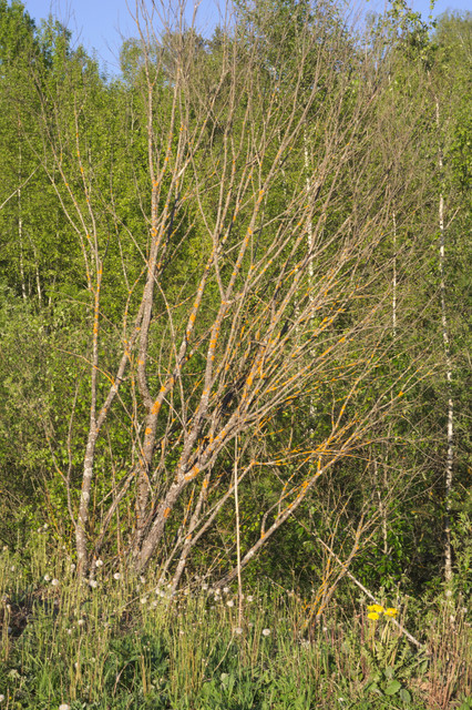 DSC3508.jpg