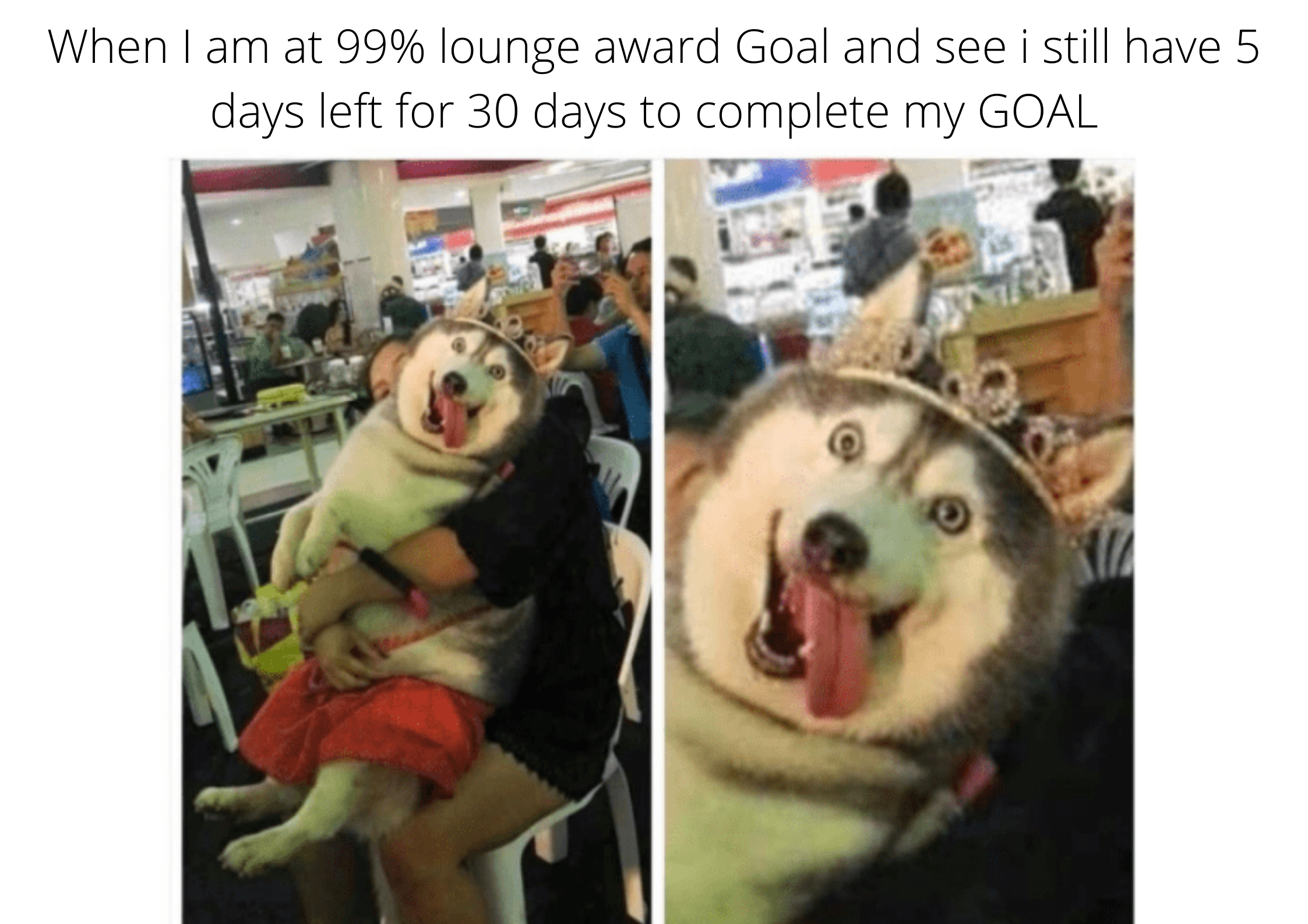 [Image: 008MEME.png]