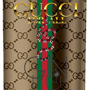 GINVU-LATINHA-GUCCI.png