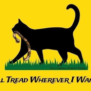 64b2a8d0edd800c00d2f3c94f5d6432792c883d1