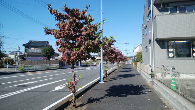 IMG-20221026-132000