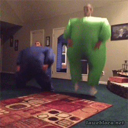 6581.gif