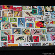 IMG-6787