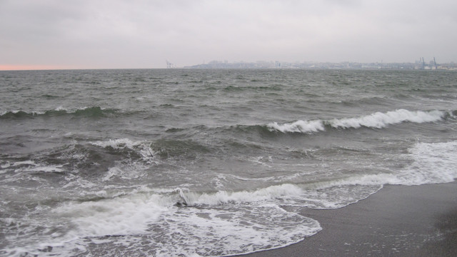 IMG-2309