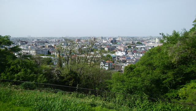 DSC-0021