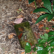 https://i.ibb.co/8dsDrPV/20200910-211110.jpg