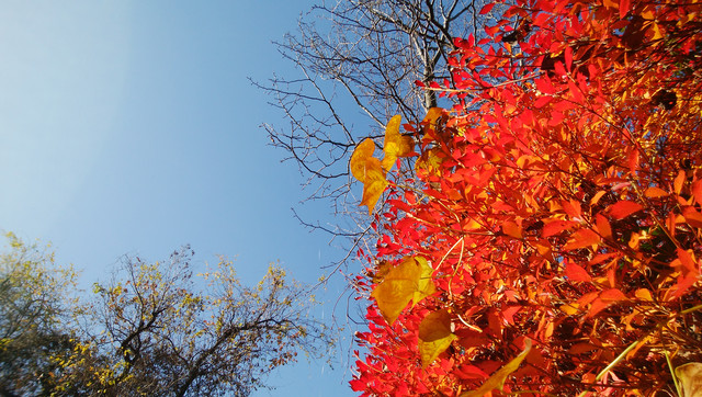 IMG-20221214-105232