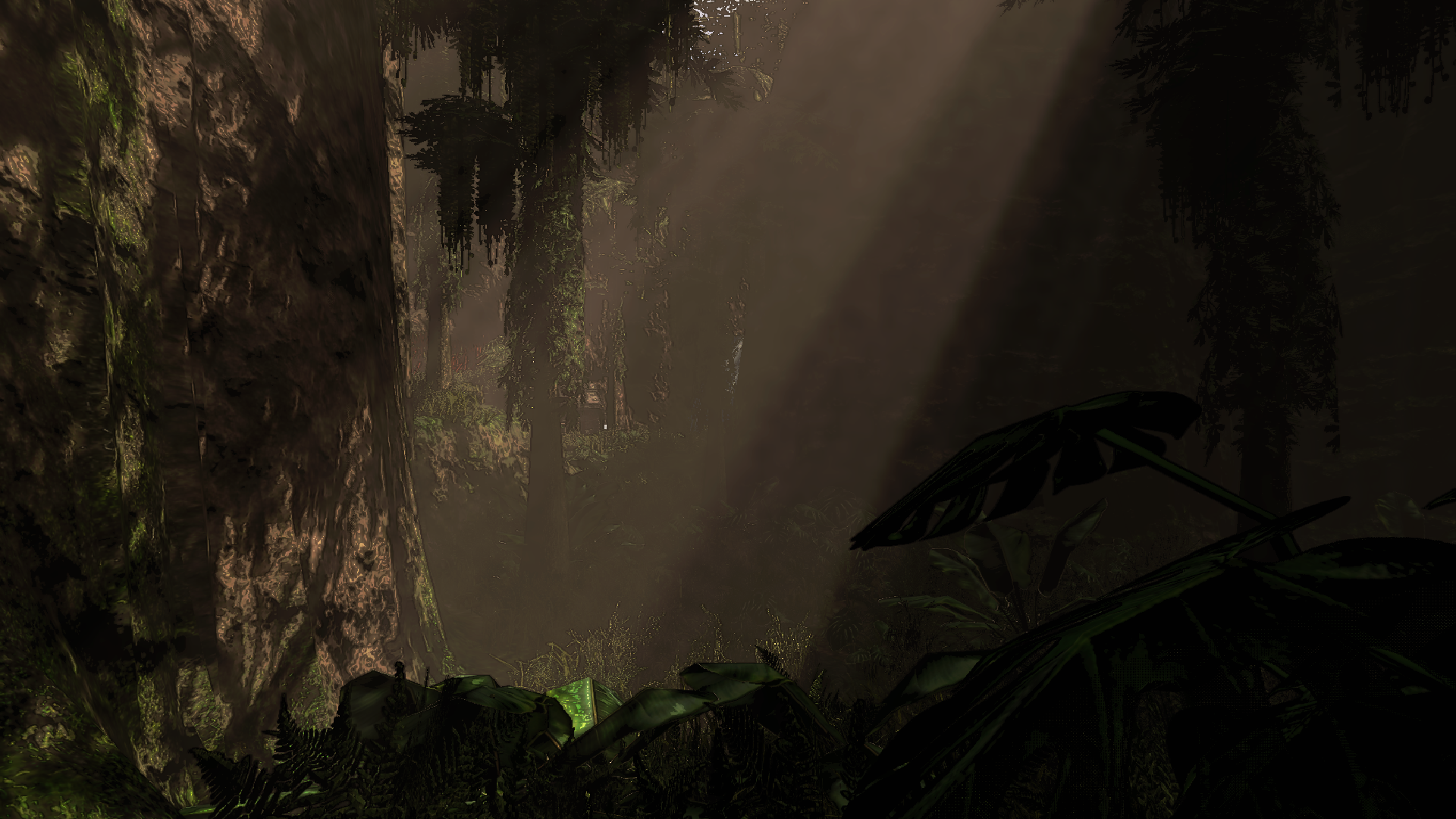 The chasm