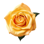 01-959