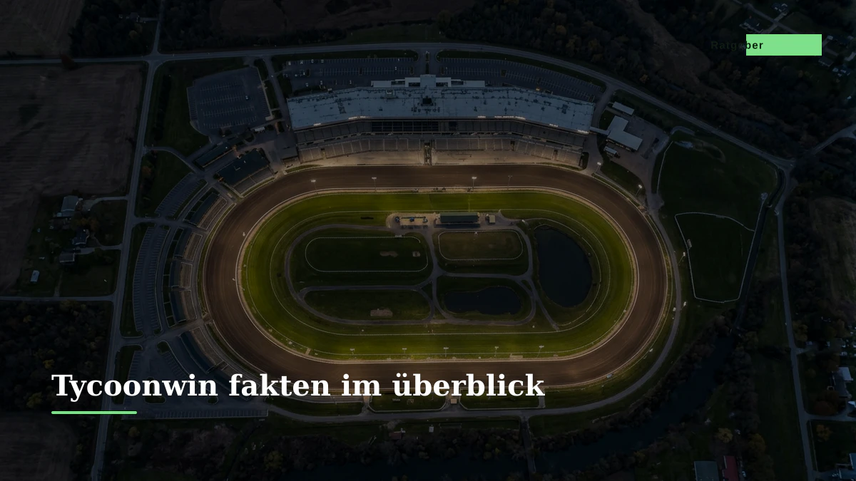 Tycoonwin fakten im überblick