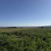 IMG-0284