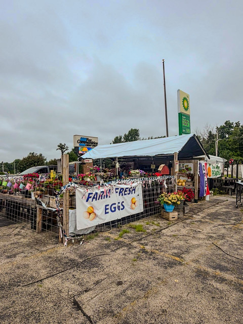 DJ's Fresh Market stand with the Farm Fresh Eggs banner, seen from the road in Appleton WI