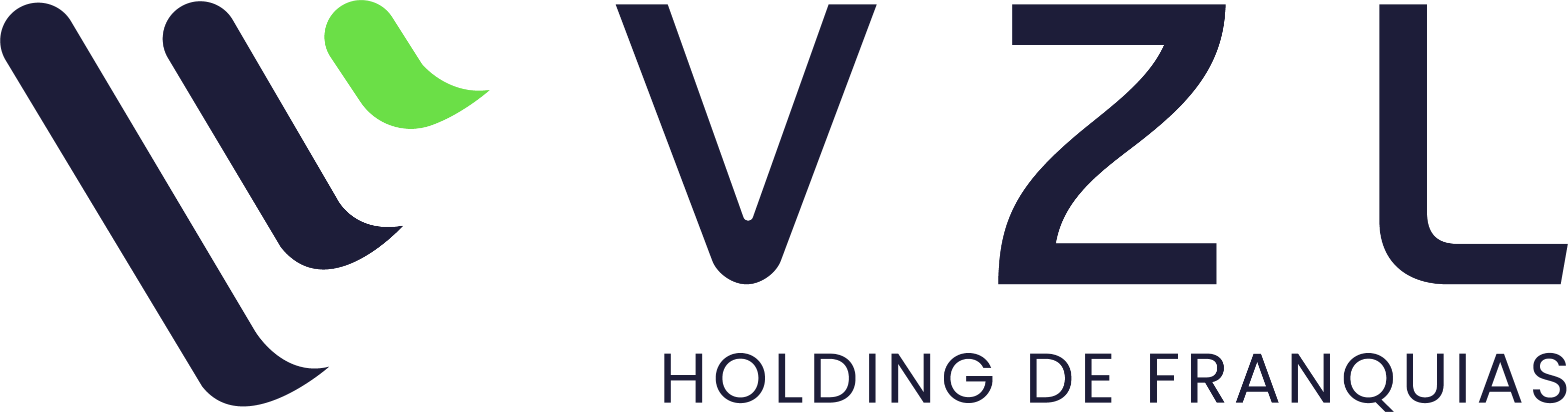 VZL Holding de Franquias