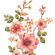 c2ddcaae479eaed4f2b1b10e0b949872