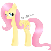 Fluttershy 2012